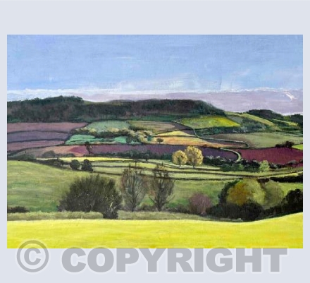 Sid Valley View