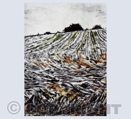 Les Passeroses Wheatfield