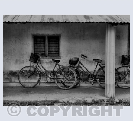 School bike shed - Chitwan,Nepal