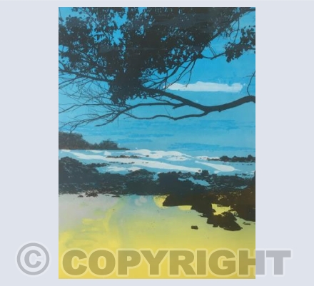 Manuel Antonio
