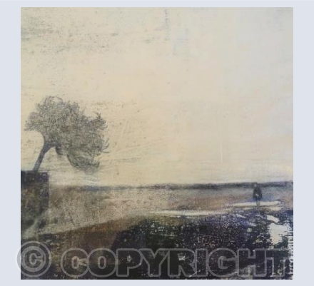 Fenlands