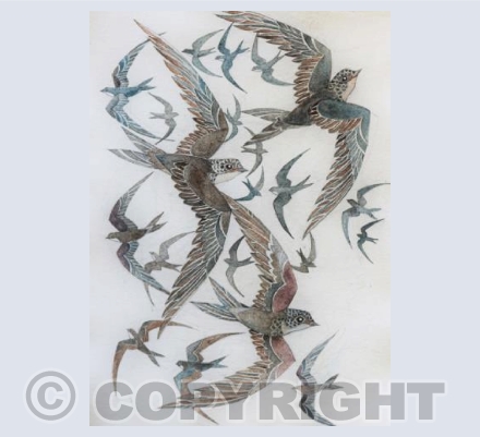 'A Swirl of Swifts'