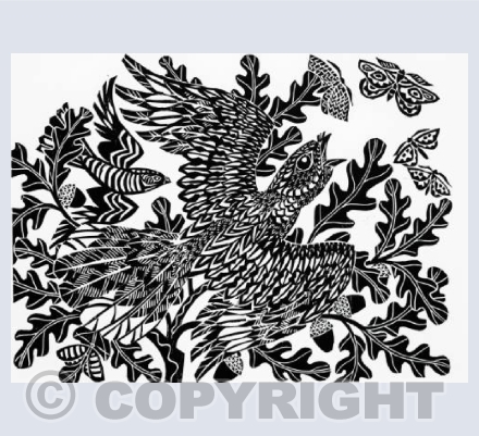 'Nightjars & Moths'