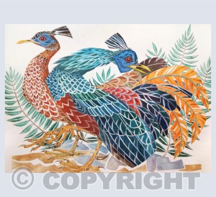 'Bornean Blue Fire-Crested Pheasants'