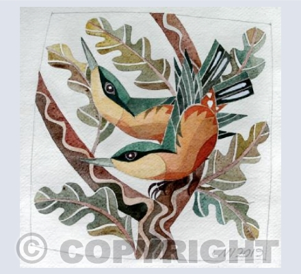 Nuthatches
