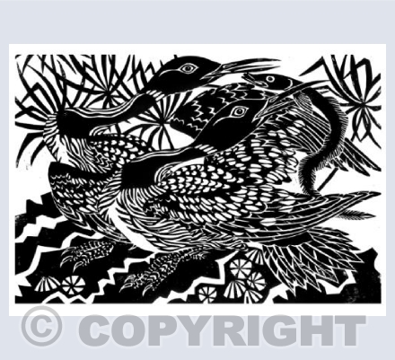 Great Northern Divers