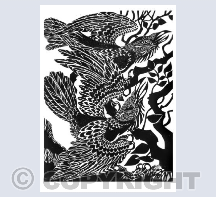 Ravens