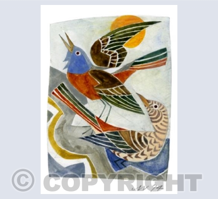 Rock Thrush