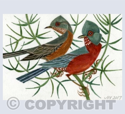 Dartford Warblers