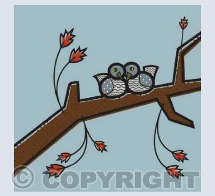 Birds 3