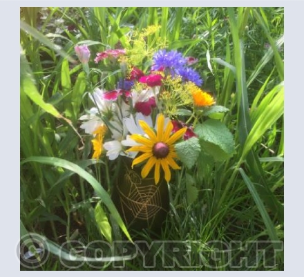 Wild flowers