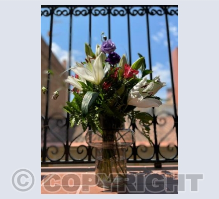 Flowers on Barcelona balcony II