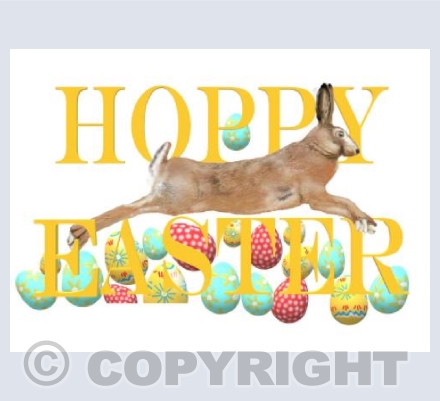 Hoppy Easter