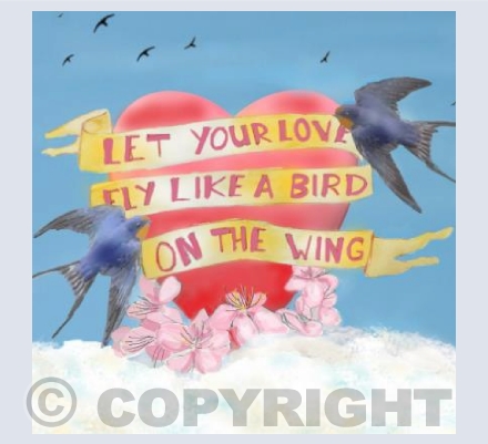 Let your love fly
