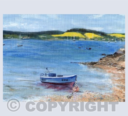 Summer fields along the Exe Estuary