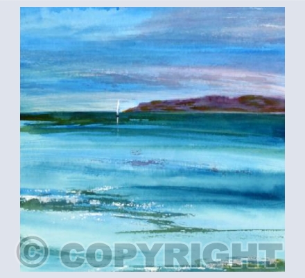 Sail Away, Exmouth