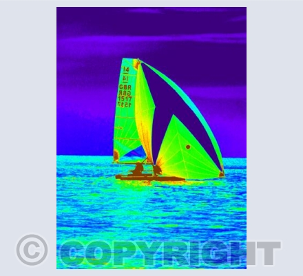 International 14s #2