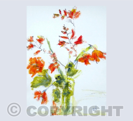 Crocosmia and Nasturtium