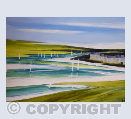 Sailing Summer Exmouth