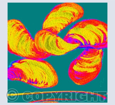 Mussels Alive