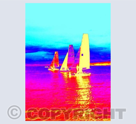 International 14s #7