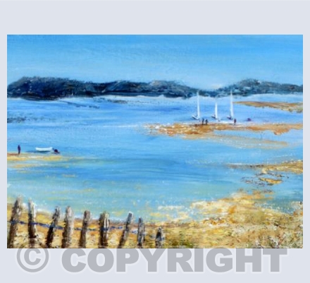 Exe Estuary Views