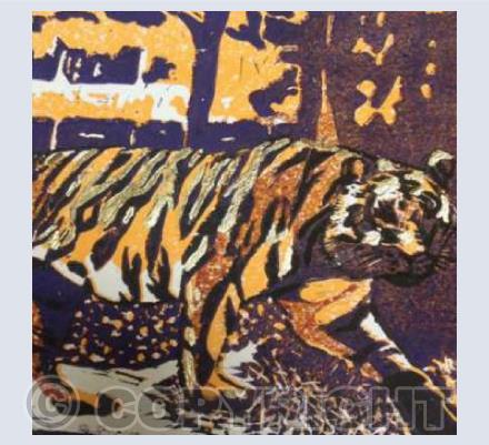 Urban Tiger