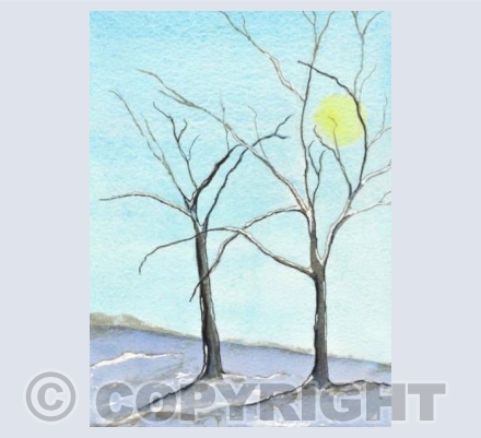 Winter's morning