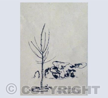 'Mystic medlar, Mossy Stones, Buzzards cries overhead'