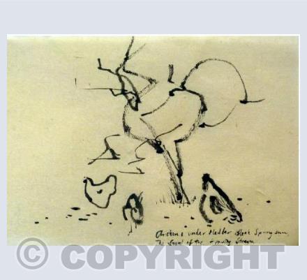 'Chickens under Medlar...'