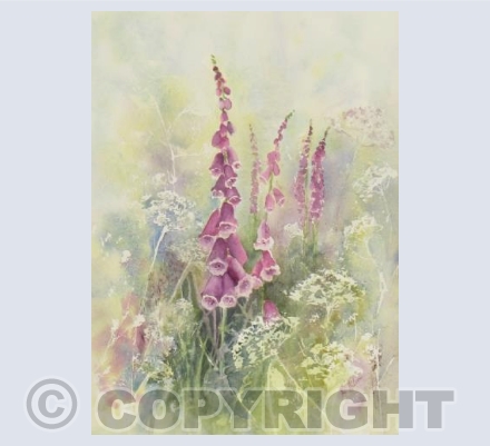 Foxgloves and Lace