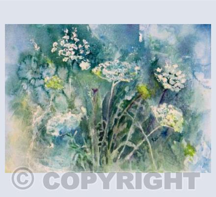 Summer Hedgerow