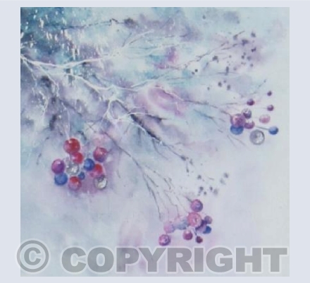 Winter Berries