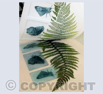 Butterflies with Fern