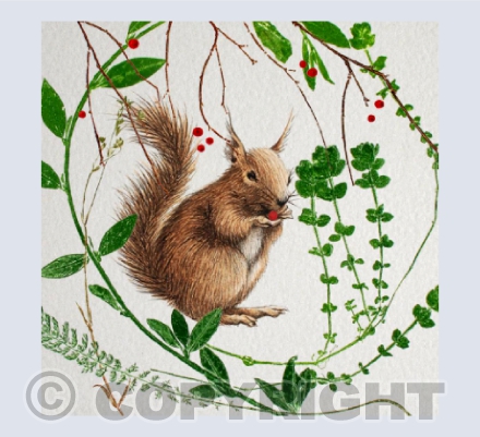Squirrel - Happy