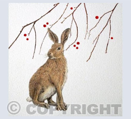 Winter Twigs Hare