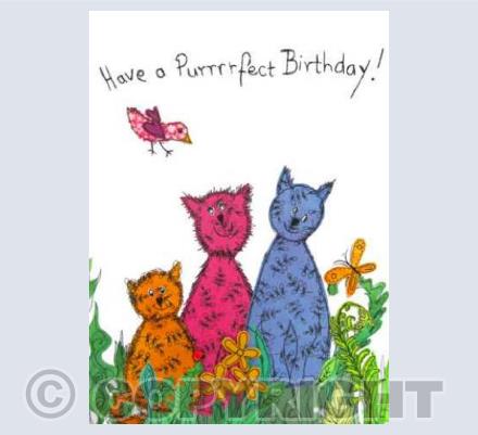 Purrrfect birthday!