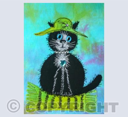 Black cat