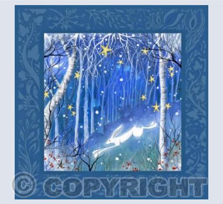 Frosty Night