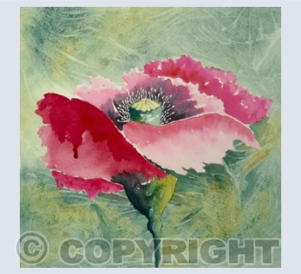 Thinking of you