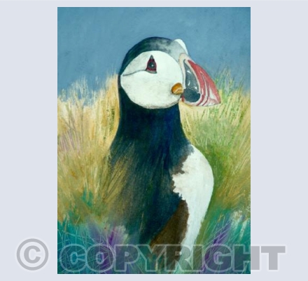 Hiding in the grasses