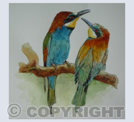 Bee Eaters