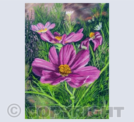 Cosmos