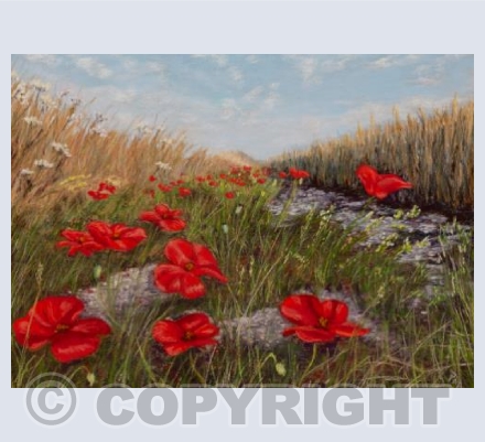Pimperne Poppies