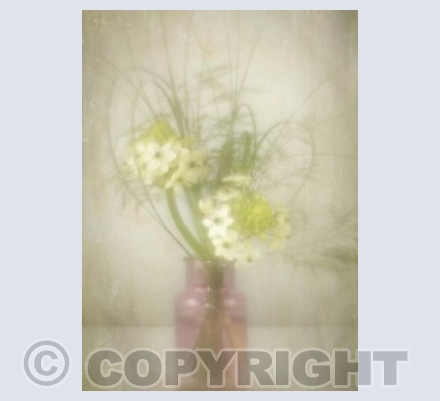 Pink posy