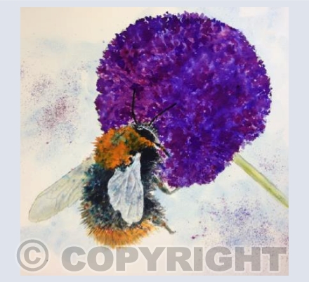 Bee and Allium