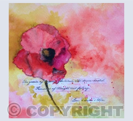 Poppy 1