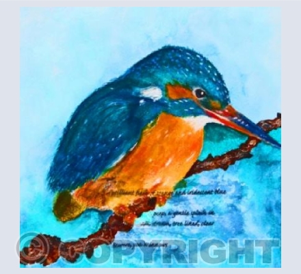 Kingfisher
