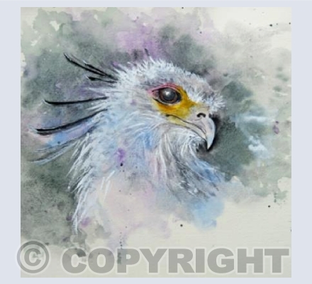 SECRETARY BIRD