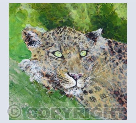 LEOPARD